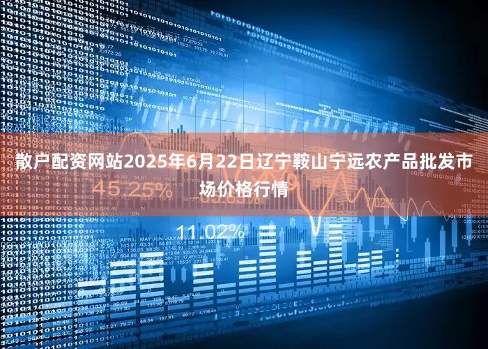散户配资网站2025年6月22日辽宁鞍山宁远农产品批发市场价格行情