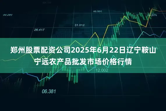郑州股票配资公司2025年6月22日辽宁鞍山宁远农产品批发市场价格行情