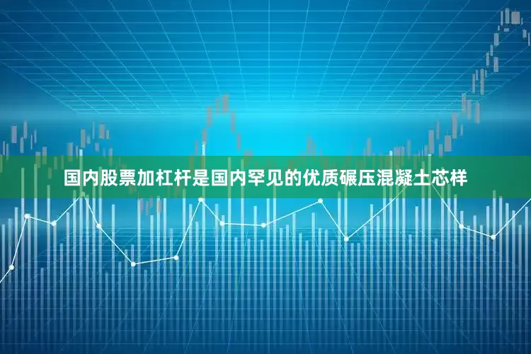 国内股票加杠杆是国内罕见的优质碾压混凝土芯样