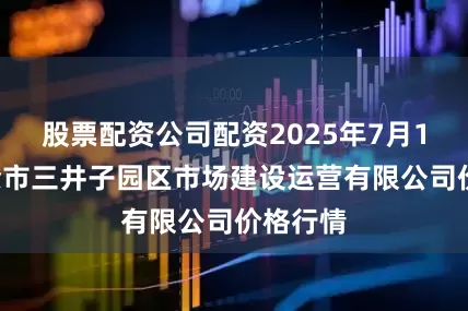 股票配资公司配资2025年7月12日扶余市三井子园区市场建设运营有限公司价格行情