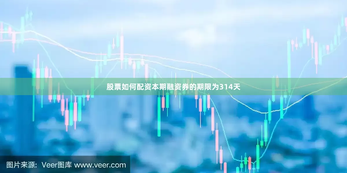 股票如何配资本期融资券的期限为314天
