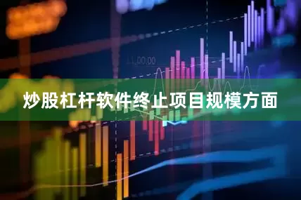 炒股杠杆软件　　终止项目规模方面